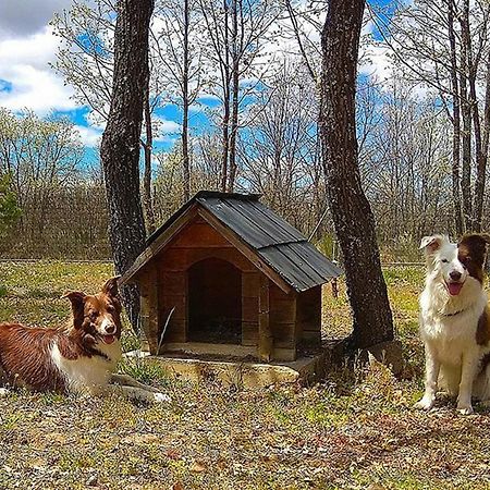 Cabanas Vallecino Manzanal de los Infantes Dış mekan fotoğraf