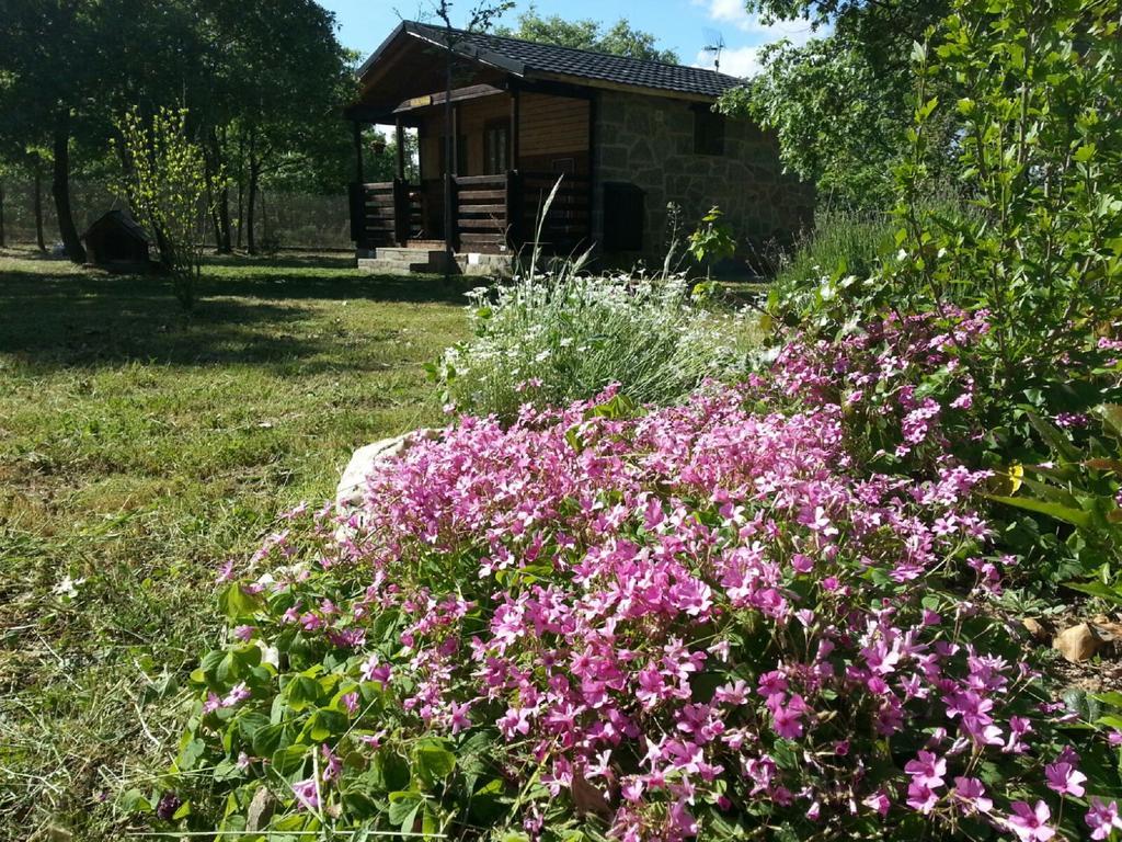 Cabanas Vallecino Manzanal de los Infantes Dış mekan fotoğraf