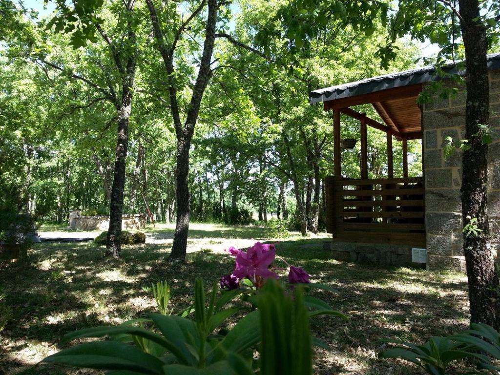 Cabanas Vallecino Manzanal de los Infantes Dış mekan fotoğraf