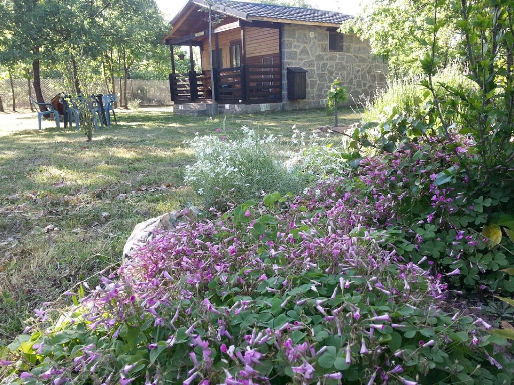 Cabanas Vallecino Manzanal de los Infantes Dış mekan fotoğraf