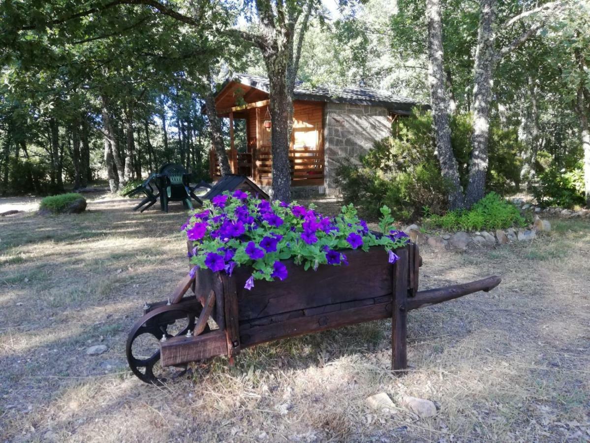 Cabanas Vallecino Manzanal de los Infantes Dış mekan fotoğraf