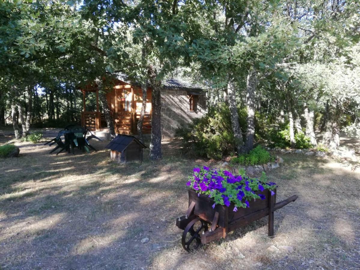 Cabanas Vallecino Manzanal de los Infantes Dış mekan fotoğraf