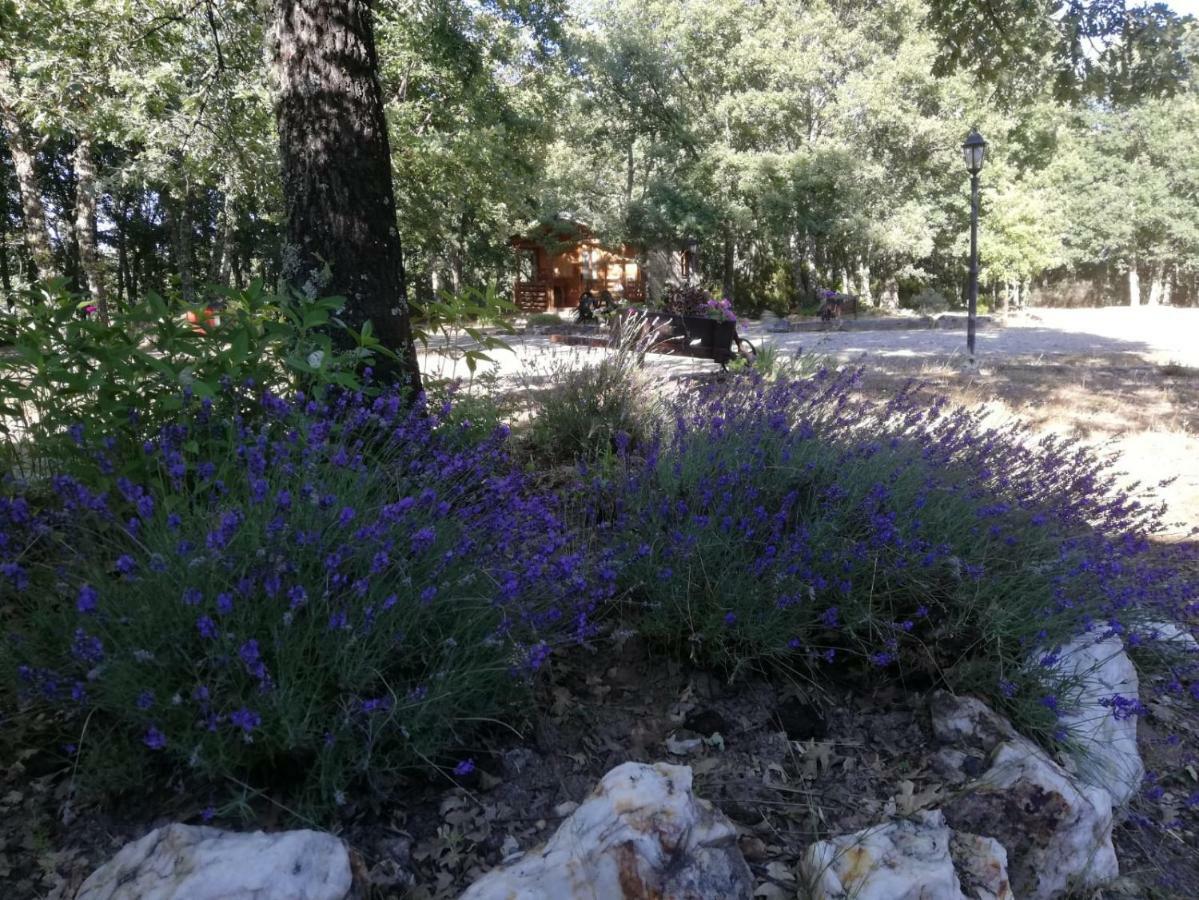 Cabanas Vallecino Manzanal de los Infantes Dış mekan fotoğraf