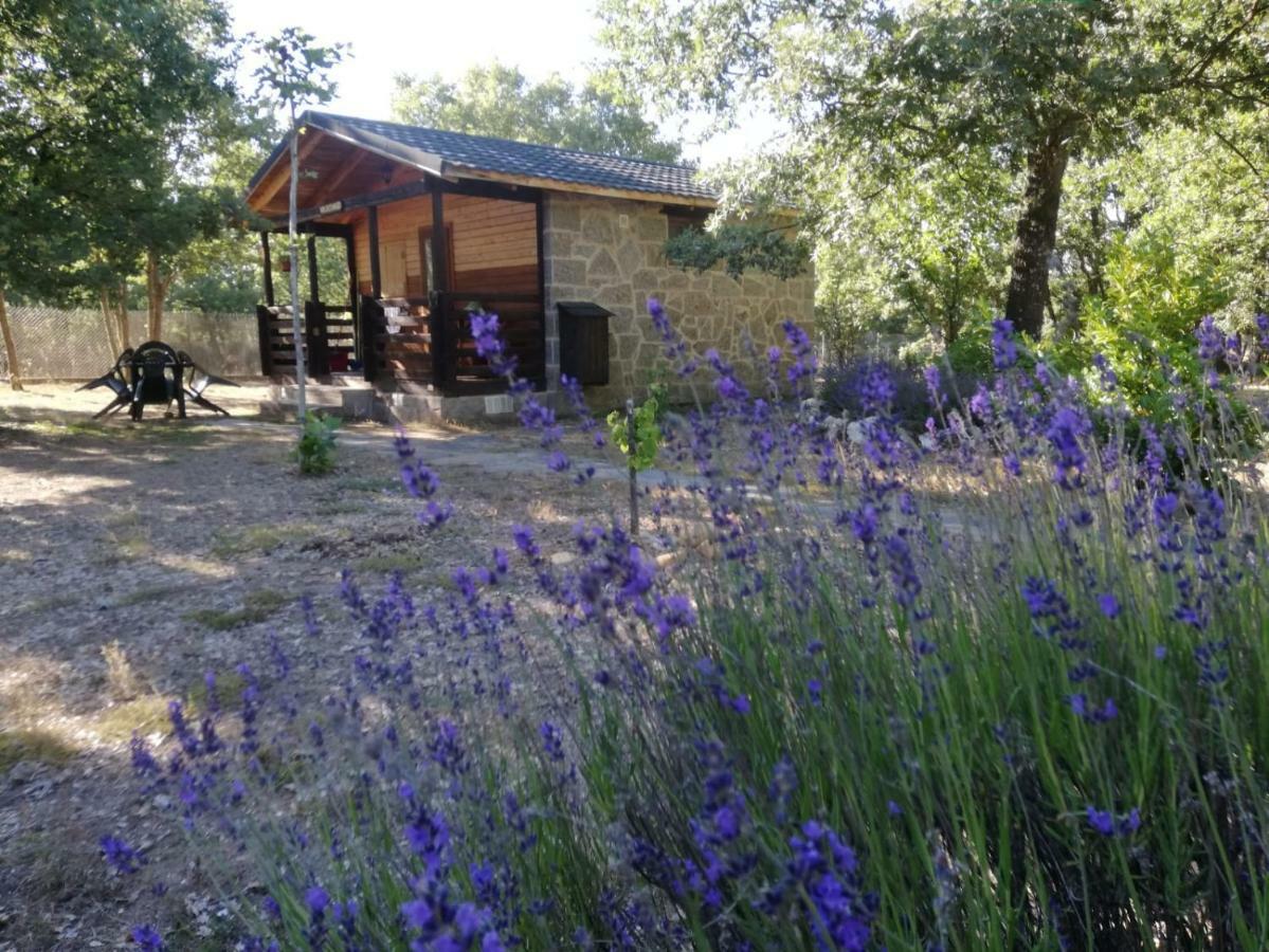 Cabanas Vallecino Manzanal de los Infantes Dış mekan fotoğraf