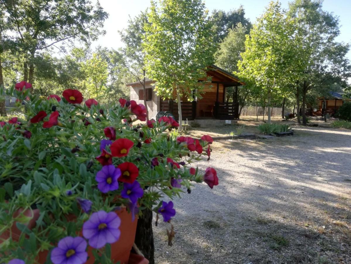 Cabanas Vallecino Manzanal de los Infantes Dış mekan fotoğraf